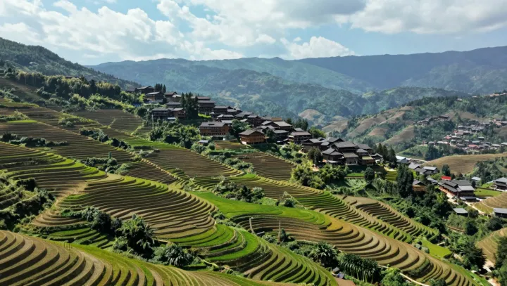 Деревенское богатство переезжает с полей в серверные