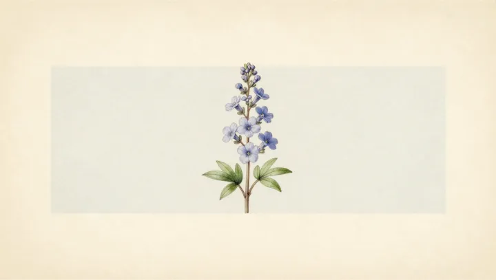 Холодные голубые цветы, созданные для экстремальной жары