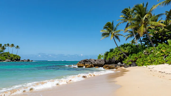 Как пассаты превращают остров с двумя сезонами в бурлящий морской заповедник