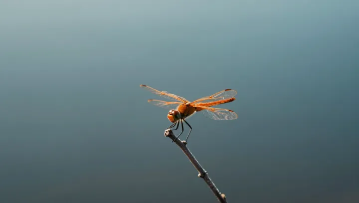 Осень уже по календарю, а на улице ад, как так