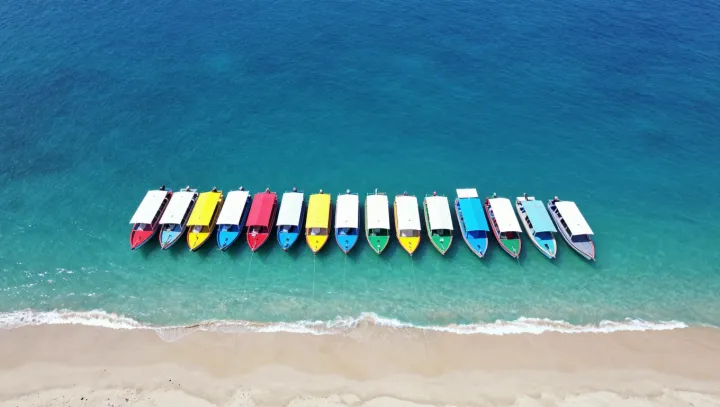 Proč fraktální pobřeží uklidňuje úzkostný mozek