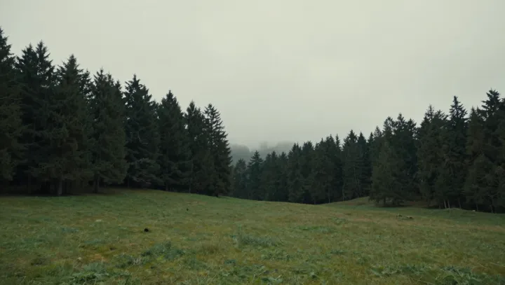 Мёртвые орлы в степи и вдруг такой трэш…