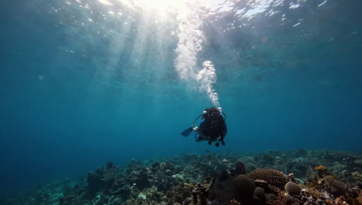 Миллионы в яхту, а океан такой же, серьёзно