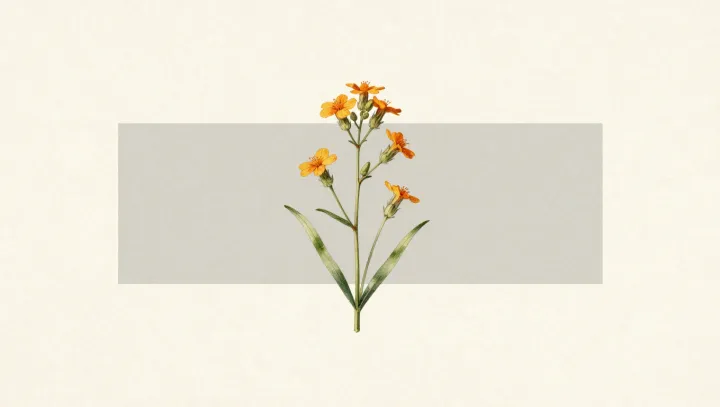 Ирис, который цепляется за голый камень… серьёзно?