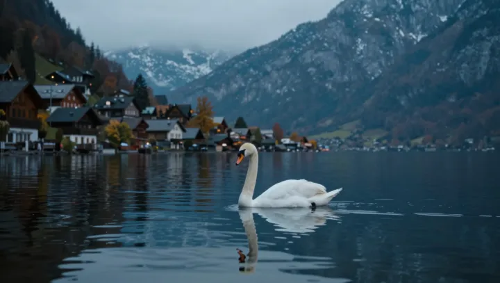 Labutě fakt jen romantika? Tohle číslo mě sejmulo