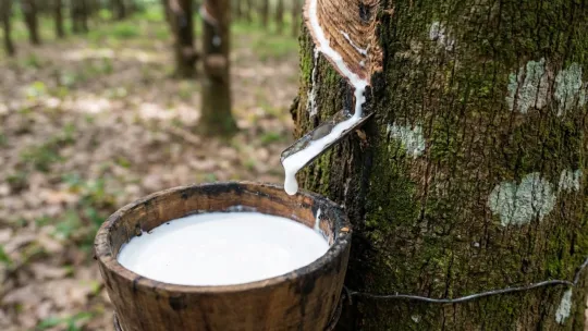 Era Baharu Kenaikan Harga: Pasaran Getah Cecah Rekod Tertinggi