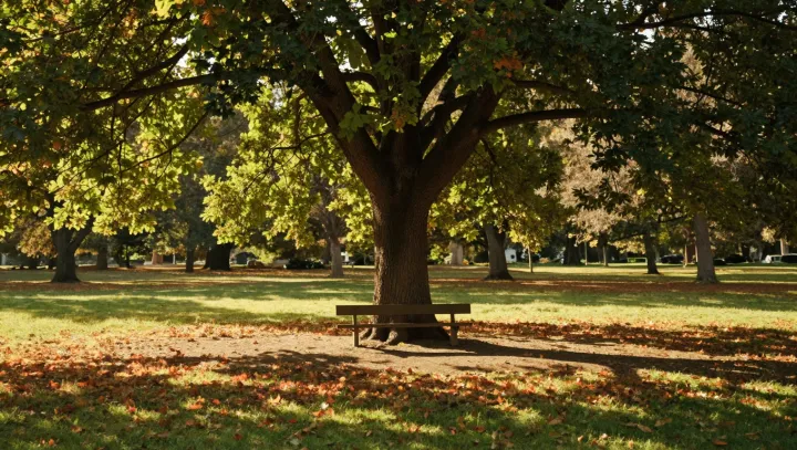 Městský strom, který předčí vaši klimatizaci