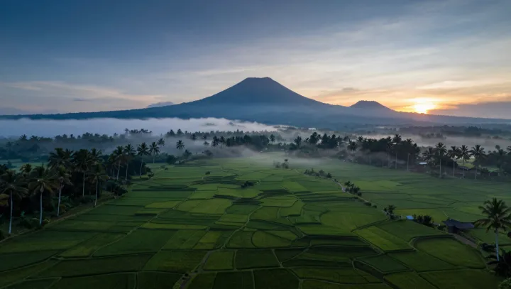 Под грядкой целый интернет грибов, вы тоже офигели