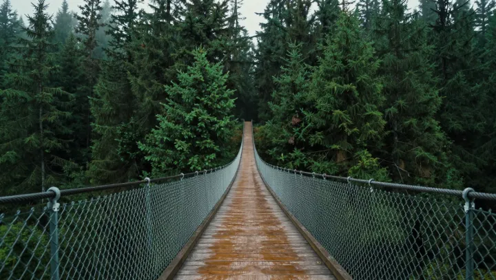 Древние цепные мосты, в чьей стали до сих пор звучит эхо