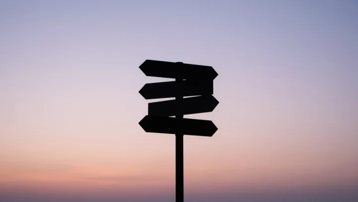 У вашего мозга два голоса в каждом сложном выборе