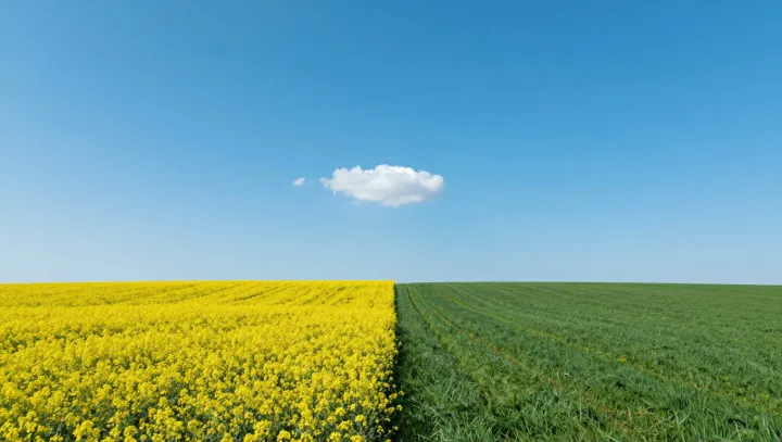 Жесткая физика за спокойными пейзажами