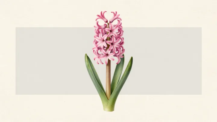 Гиацинты на зимнем «чипе памяти»