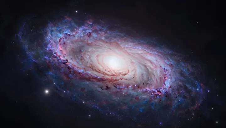 Why Black Holes Slowly Vanish