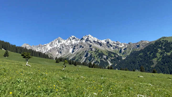 Почему горные походы эффективнее модных гаджетов для благополучия