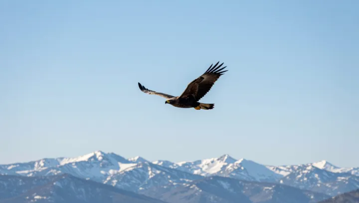Орёл сам себе клюв ломает? серьёзно, люди…