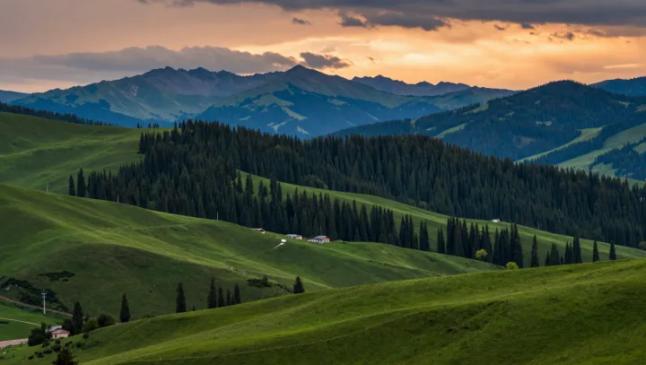 Trávy vs. prales, cože, takhle to fakt funguje