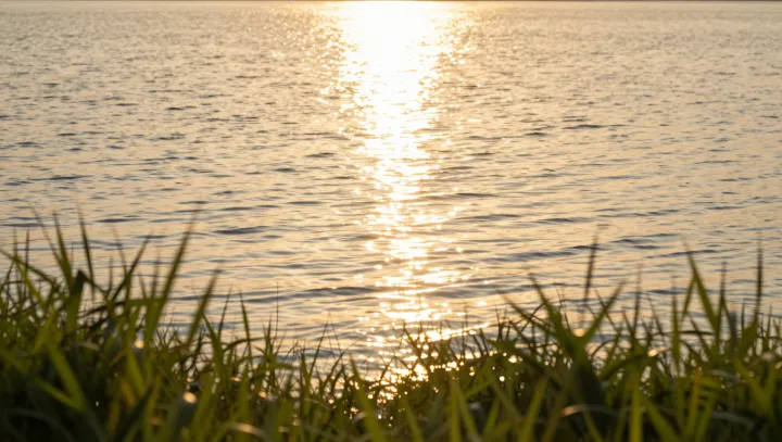 Закат такой красивый, а ночью небо как выжженное, чё за фокус