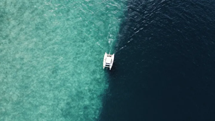 Почему резкие цветовые контрасты могут успокаивать мозг