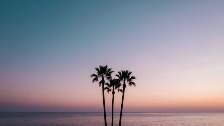 Why Coconut Trees Bend But Rarely Break