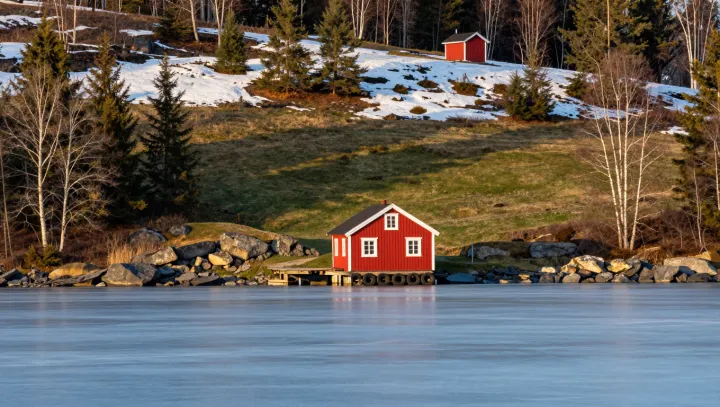 Tohle jako vážně dělají stromy s naším mozkem?