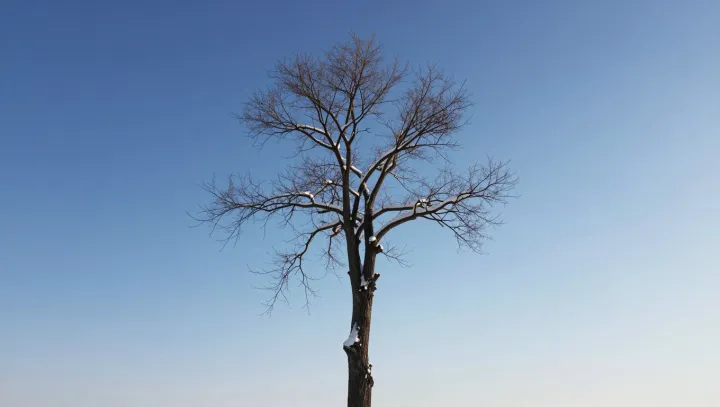 Why winter routines target gut, kidneys and feet