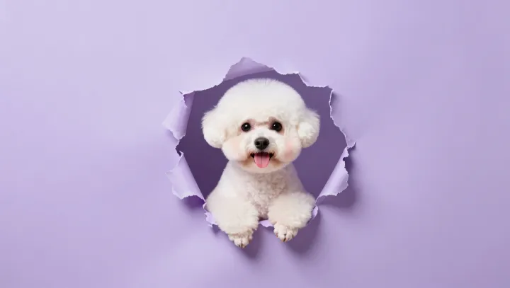 Why Dogs Hear Tone Before Words