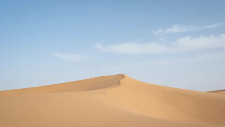 Жуки, которые пьют воду из тумана