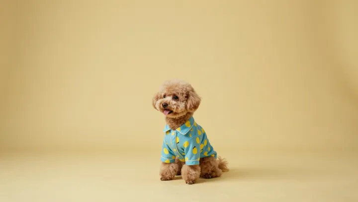 Why Dogs Read Your Point Better Than Apes