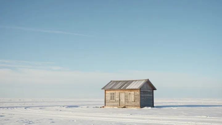Why Wood Cabins Feel Warm When Concrete Chills