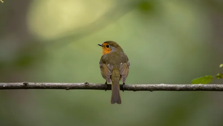 Птицы строят такие дворцы ради… сухих семечек, серьёзно