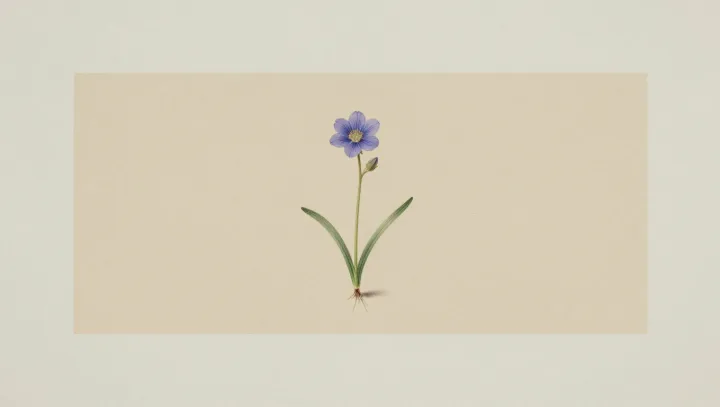 Синие ирисы с невидимыми взлётными полосами