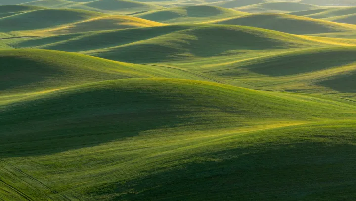 Ветер, а не плуг: кто слепил Палус