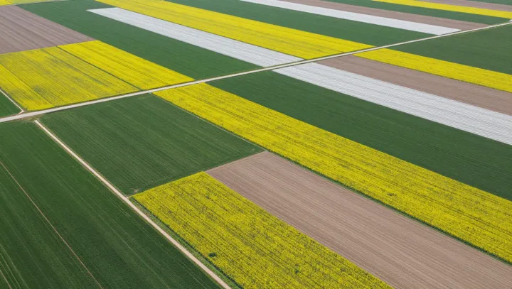 Jak se ty rýžové schody vůbec nerozsypou