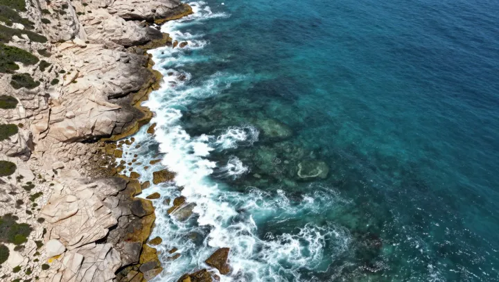 Proč některé pláže září růžově a zeleně