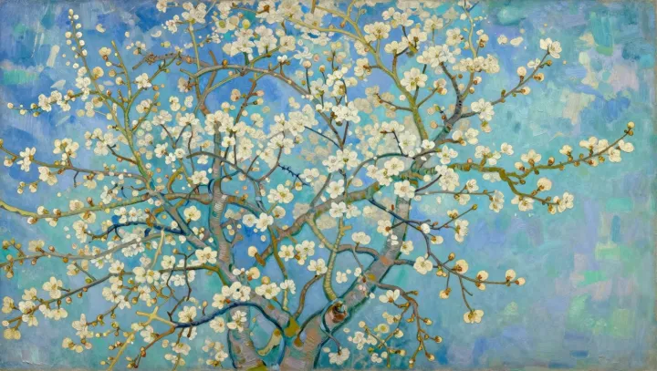 Van Gogh’s Winter Blossoms