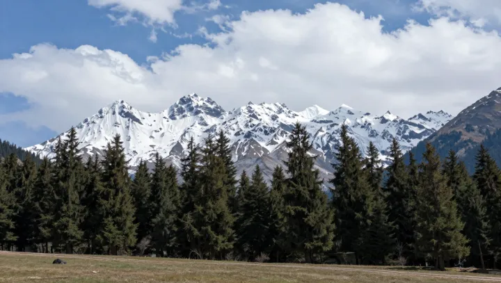 Почему пустынный Синьцзян вдруг зеленеет