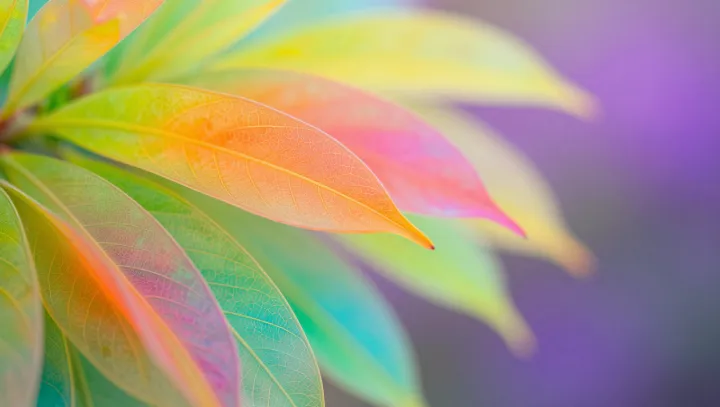 Когда цвет сильнее краски