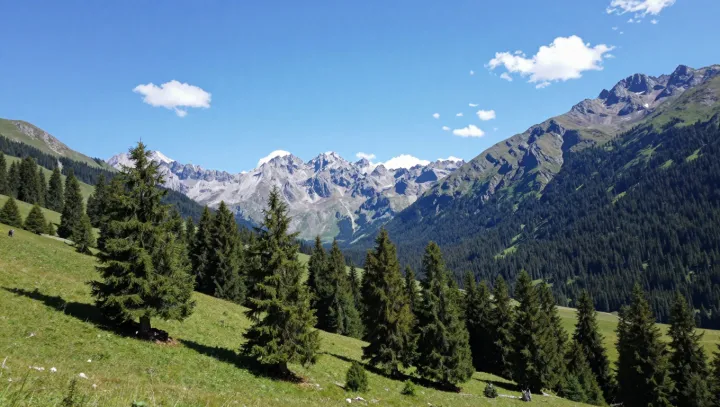 Where Singing Dunes Share A Border With Ice