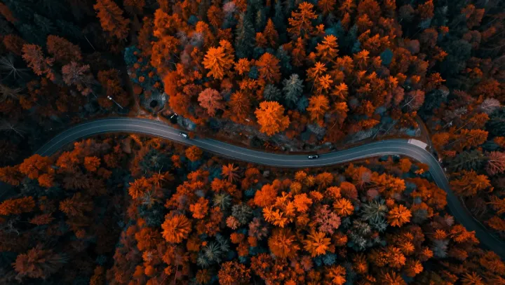 Lesní zatáčky, kde se cítím v klidu a jsem v průšvihu