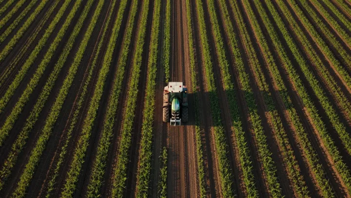 Pole, kde místo odhadů mluví data