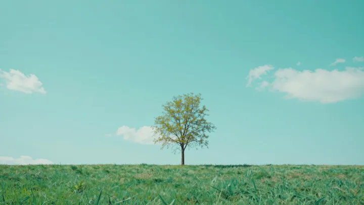 Ancient trees running on fungal life support