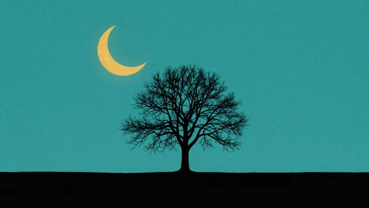 How Trees Lift Water Higher Than Towers