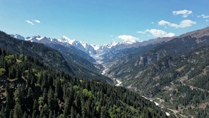 Terraced stone, passing wings