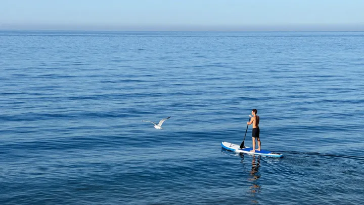 The Real High of High-Speed Water Sports