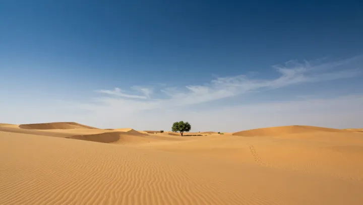 Мёртвый песок, спрятанное озёрное дно