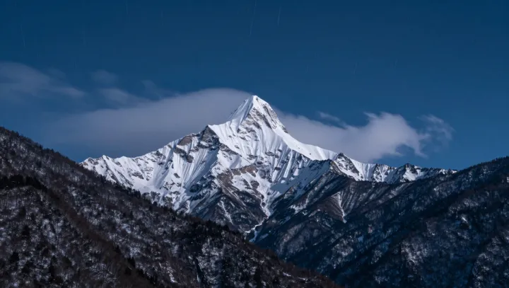 Where Eternal Snow Meets Palm Trees
