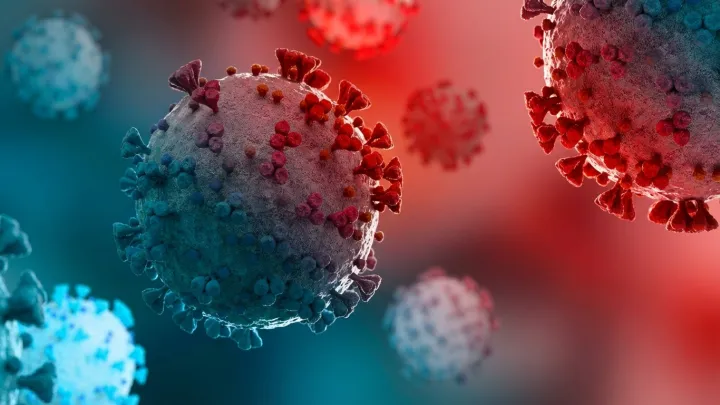 'Cicada' COVID variant: what to watch