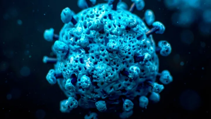 What the Cicada COVID Variant Really Is