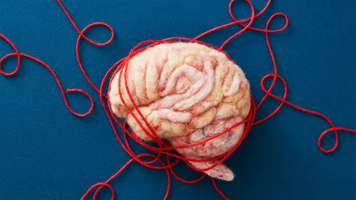 You Can’t Train Your Brain Like a Muscle