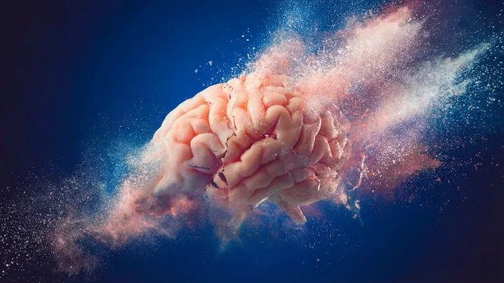 Experimental Alzheimer’s Treatment Alters Brain Memory Circuits